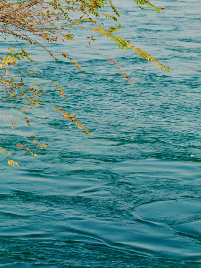 出色！洛阳这些最美场景等你解锁