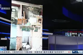 一楼业主私挖地下室成“两室一卫”楼上邻居忧心忡忡视频封面