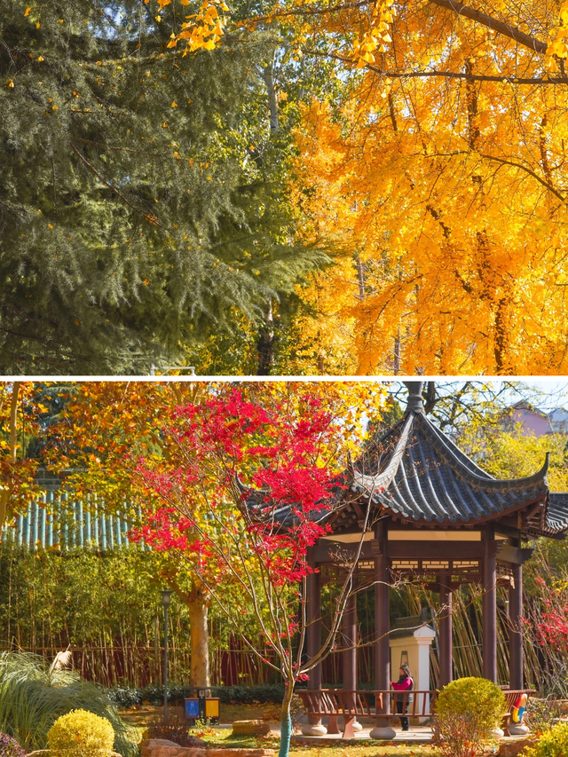 郑州冬天超适合野趣遛娃的6个好去处→