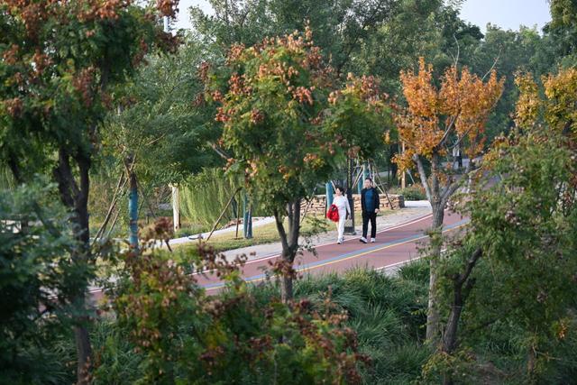 河北沧州：大运河堤顶路铺就美好生活新图景