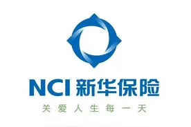 践行“国之大者” 新华保险支持实体经济投资规模超9200亿元图片