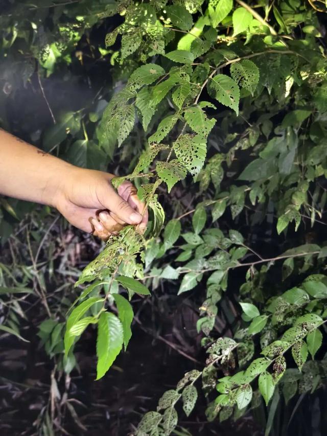 夜晚，我们在公园里“找宝藏”