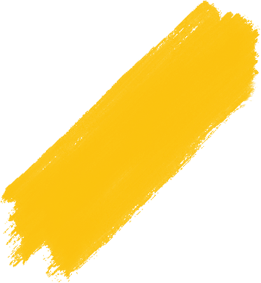 层林尽染赏秋时！宝山11月文旅活动清单，超多活动等你来打卡