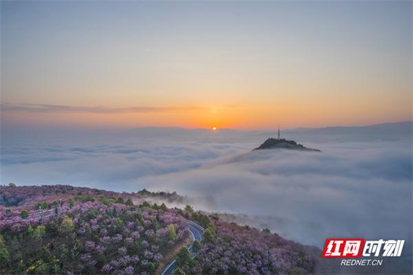 湖南洪江区：云端之上，定格云海日出的诗意画卷