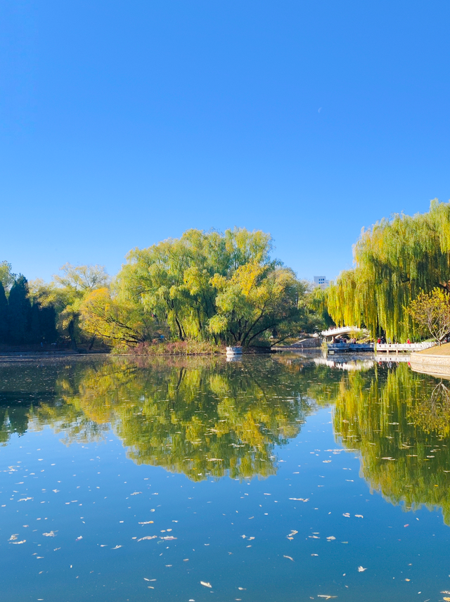 太美了！漫步南长河，邂逅满途风光