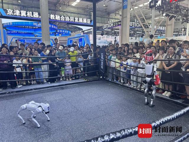 机器人大秀“绝活”背后 将如何改变我们的生活？