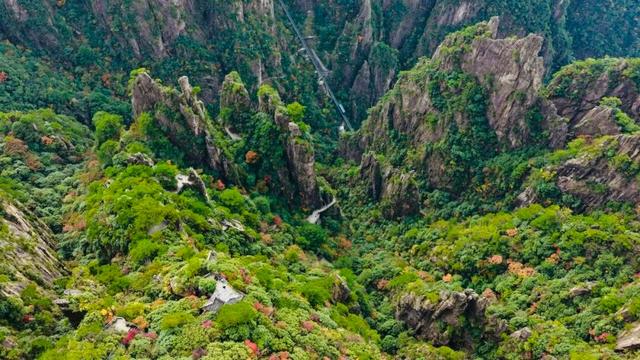 新免票政策！专属中小学生秋假免票福利