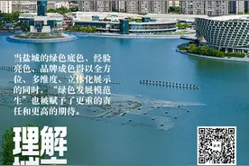 理解城市丨盐城：一座曼妙之城的荣耀与抱负图片