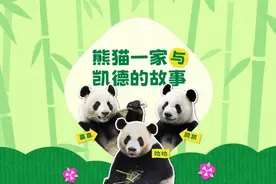 时尚WEEKLY｜百年灵140周年古董表巡展抵蓉，朗格推出4款限量版腕表图片