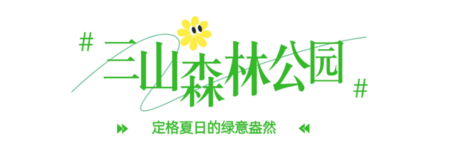 文翰湖片区超绝隐藏机位，出片率200%