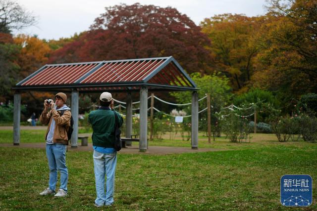 东京：秋意盎然