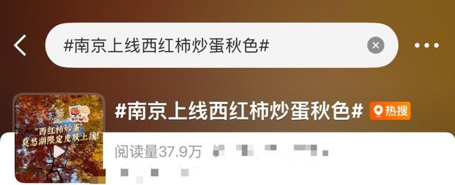 秋日特调！南京“西红柿炒蛋”皮肤已限时上线！