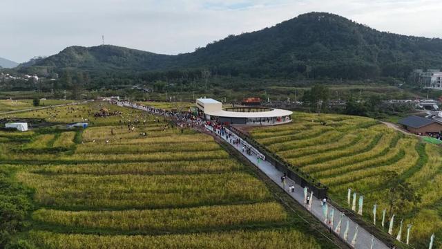 多图+视频！一起回看2025年白沙“啦奥门”雨林与您山兰文化活动精彩瞬间