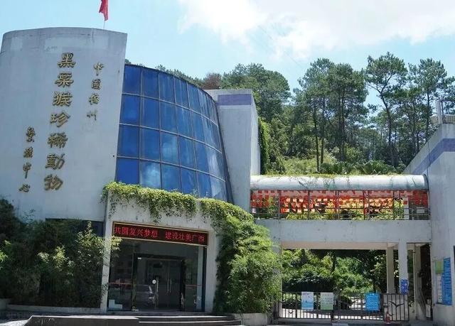 全国15个典型案例！广西首条跨省公交旅游专线入选