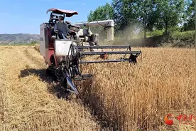 庄浪：跨区机收走出乡村振兴致富路图片