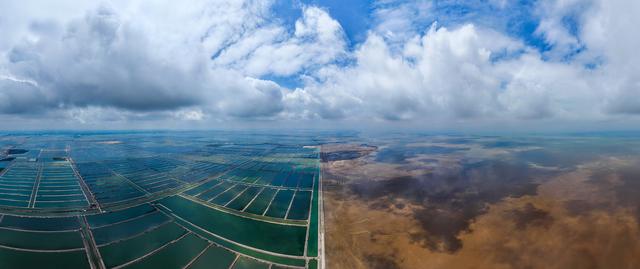 “山东邂逅美”摄影大赛｜黄河入海口夏日景色
