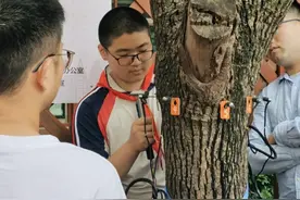 2024上海教育博览会开幕，一站式体验年度最全科学教育嘉年华图片