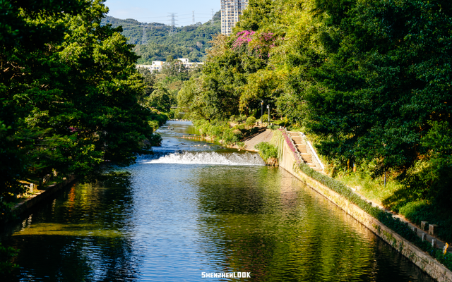 开在公园里的玻璃书房 · 深圳新安静空间