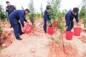 行动起来 为地球充“植” 汝州市举行2025年全民义务植树活动图片