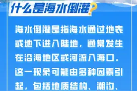 海水倒灌如何防范图片