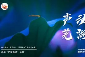 芜湖早在90年前就建有机场图片