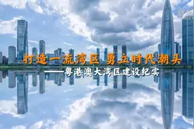 打造一流湾区 勇立时代潮头——粤港澳大湾区建设纪实图片