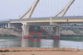 为他点赞！图片