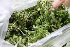 “春鲜”持续上新，价格有所回落图片