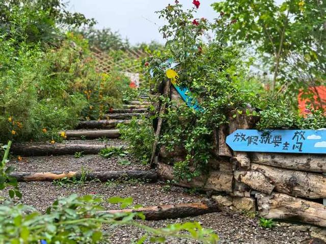 一个村庄的绿色蝶变：遇见百花峪，栖居山水间