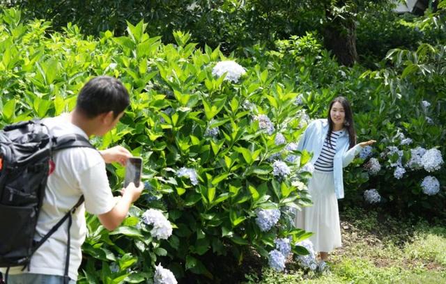 “哪儿凉快哪儿待着去”？我选云南！丨有一种叫云南的生活之365天
