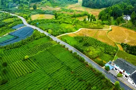 贵州“四好农村路”：奏响乡村振兴最强音图片