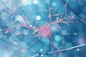 “嗑CP”为什么会上头？其实是感情代餐？图片