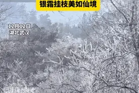 今天起，证件是42开头将被全国羡慕！缺牙、牙不齐这些费用省了……图片