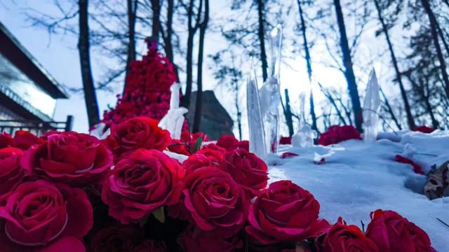 免费申领！白云山冰雪仙境邀您花式玩儿雪！