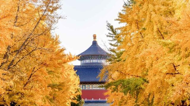 夜读｜赵款款：北京的秋冬之交