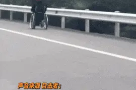 大爷坐轮椅高速路上“狂飙”有啥法律后果？专家解读图片