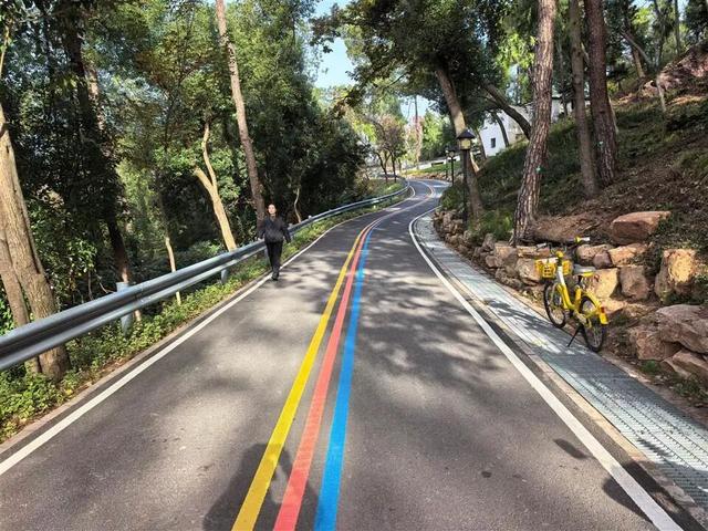 武汉东湖绿道又“上新”！7.5公里山体游步道建成