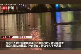 浙江丽水爷孙三人落水后多人参与施救，孙女获救两名老人不幸离世图片