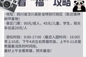 “福宝”亮相！看“福”攻略→图片