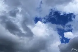 上海发布大风黄色预警，预计将出现8至10级大风，请加强防范！图片