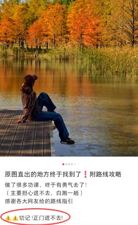 上海有个超美的新公园，未开先火！有人偷偷爬进去、溜进去、翻进去……太危险！