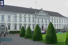 法德两国总统会晤 双方强调合作重要性图片