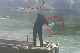 河南男子敲碎玻璃瓶后往河里扔，官方通报：停止其游船经营图片