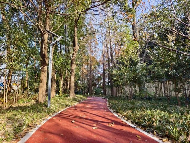 一树一景一步道，宝山这条生态步道升级，遛弯超惬意～