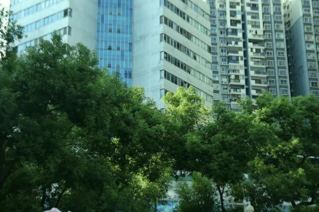 畅游＋避暑两不误！南宁“绿野仙踪”清凉图鉴→