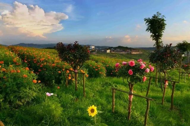 澜湄光影落曲靖，五张名片入画来