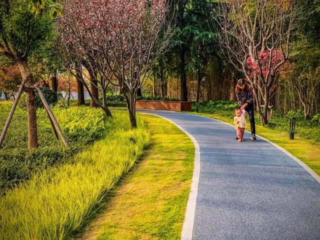 此时的桃浦，已经美成这样了……