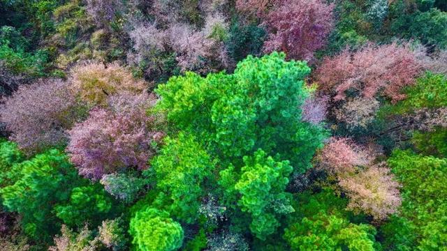 初冬，来大龙开发区遇见“限定暖阳”