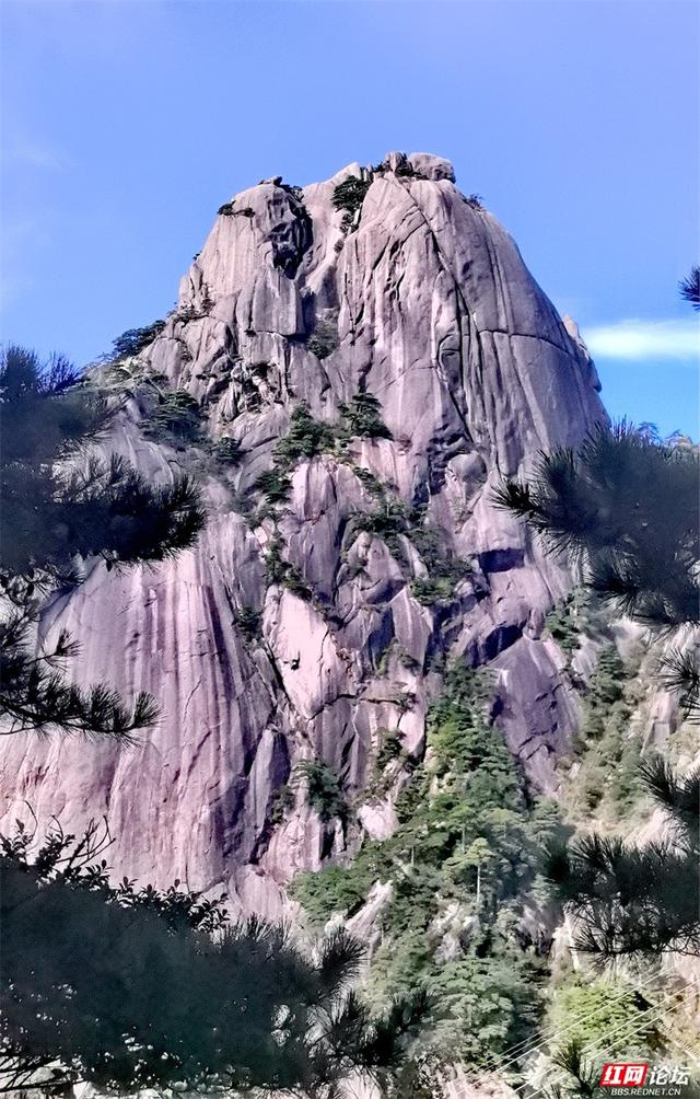 秋游时刻丨如果秋天有底色，那一定是黄山的样子吧？