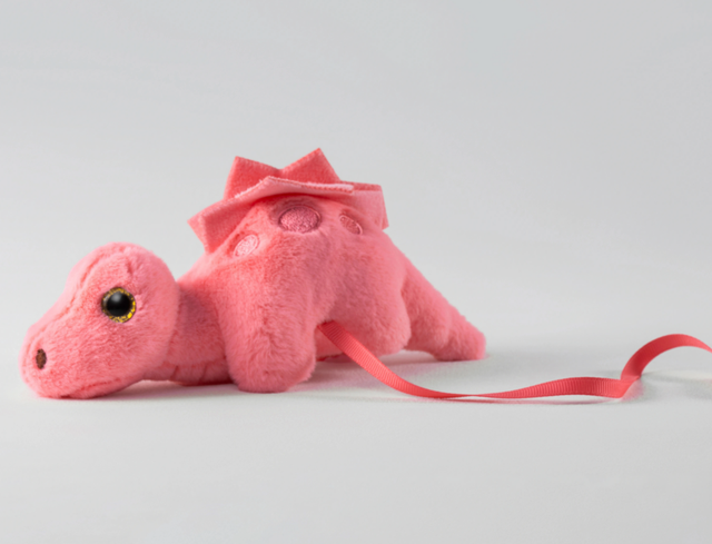 与恐龙共舞的午后：1月16日12点「看东方」直播开启自然博物馆的隐秘叙事！